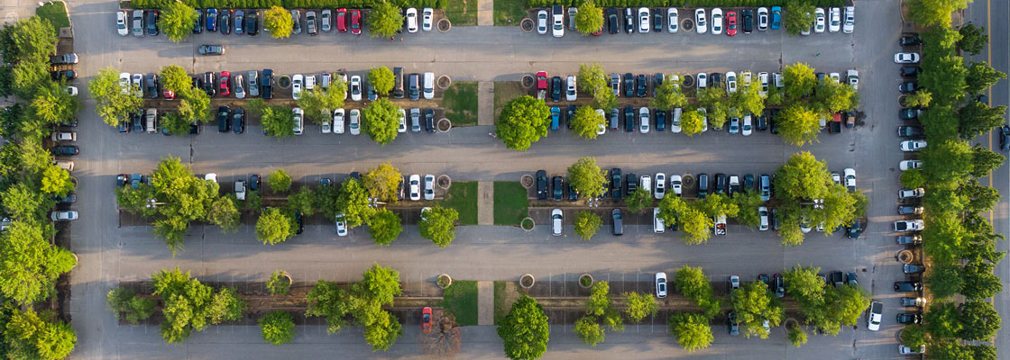 Trees and Urban Heat Islands