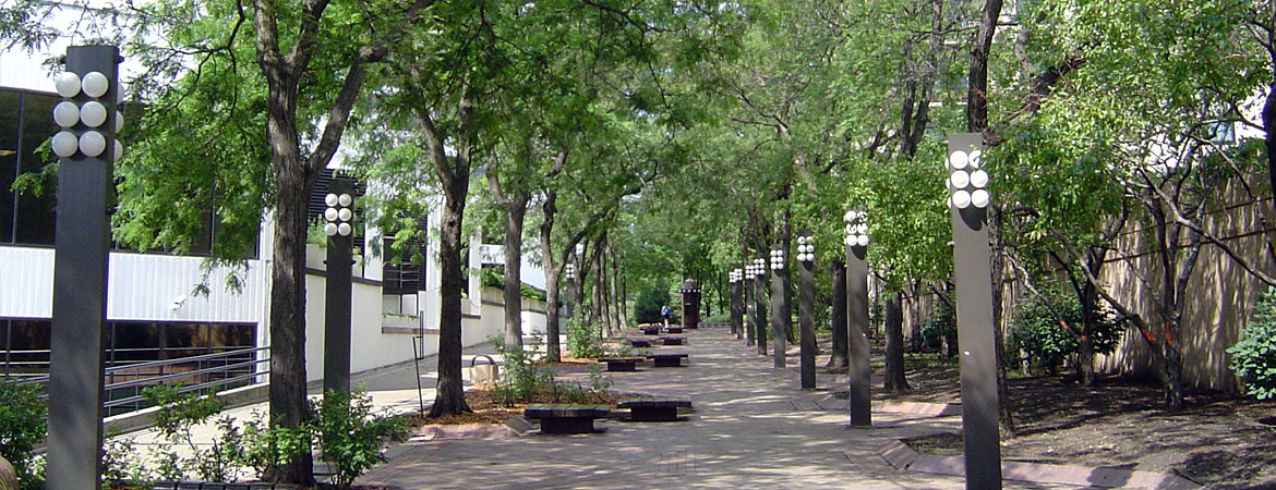 What is an Urban Forest?