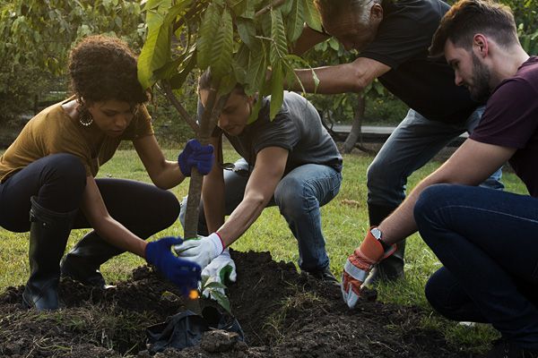 People planting a tree
