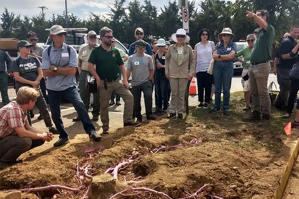 Group of people at urban forestry roundtable