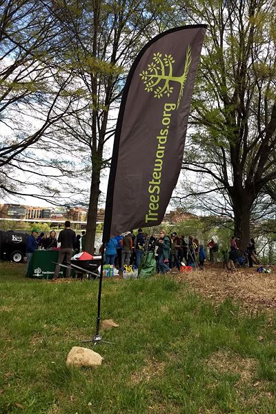 Virginia Tree Stewards Flag