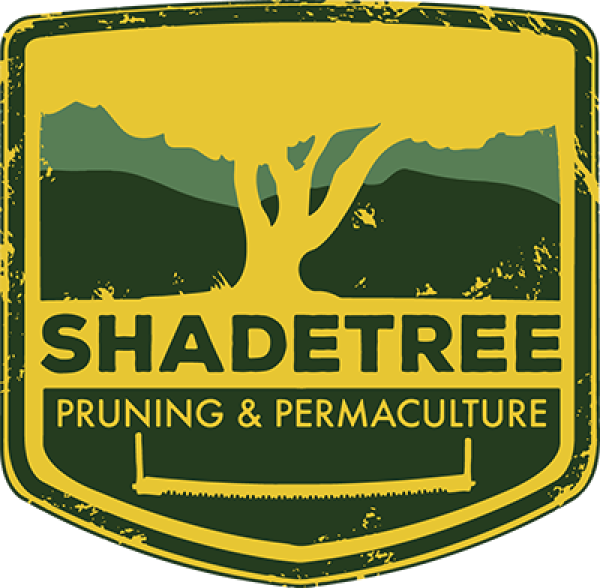 Shade Tree Pruning & Permaculture