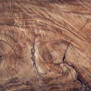 The Giving Tree Custom Sawmilling