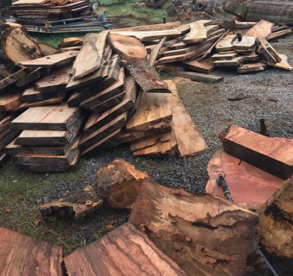Brown Hound Tree Service and Salvage