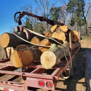Treesmith USA