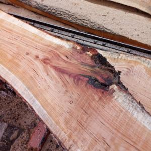 The Woodsmen